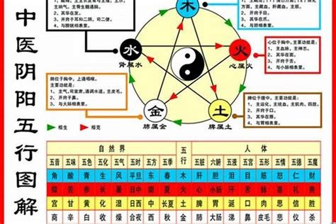 屬鼠的五行|属鼠五行属什么命 属鼠人的五行缺什么